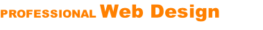 PROFESSIONAL Web Design  Web Solutions that work for any Business!